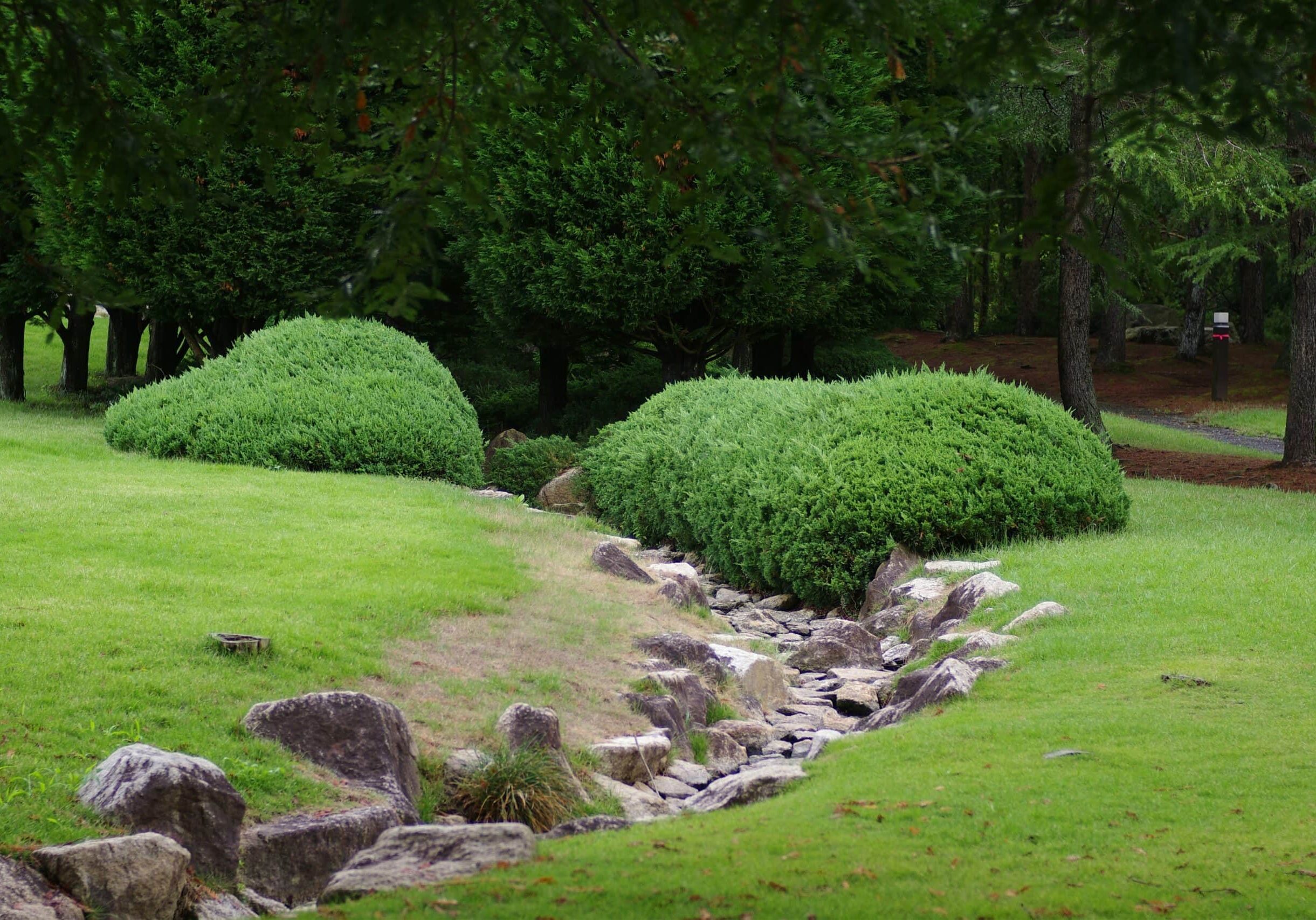 Lush green garden with stone pathway.