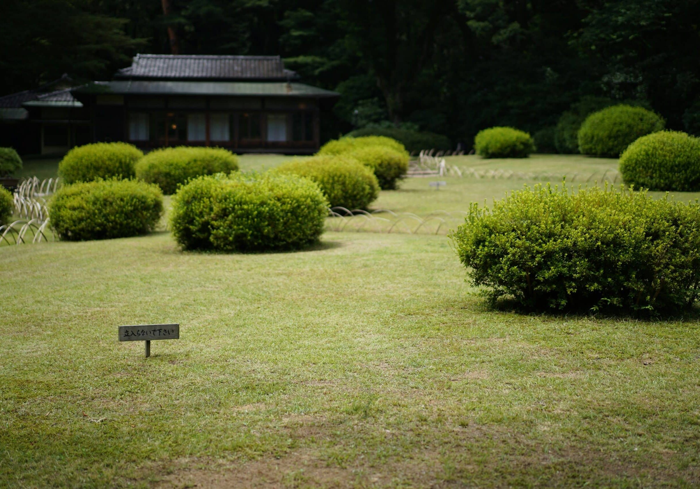 Japanese garden with well-manicured bushes and house