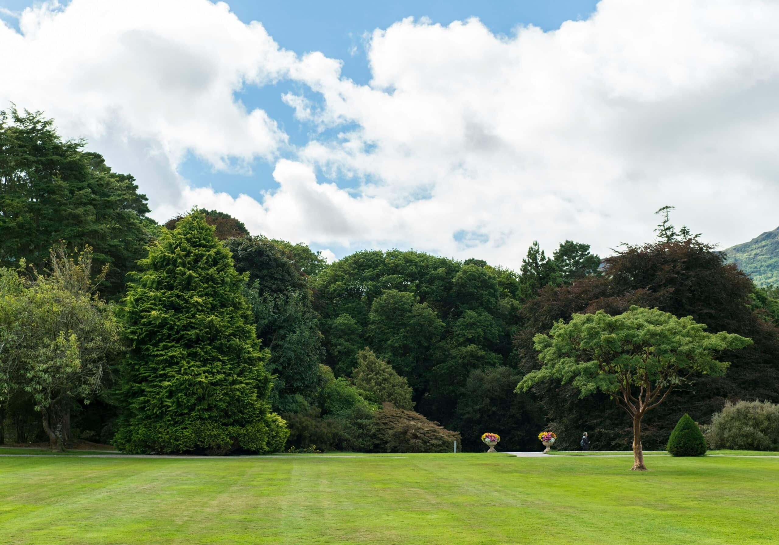 Lush green park with trees under cloudy sky