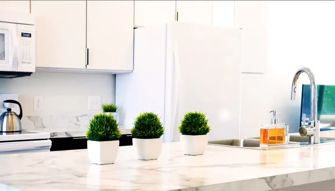 Modern kitchen with potted plants on marble countertop.